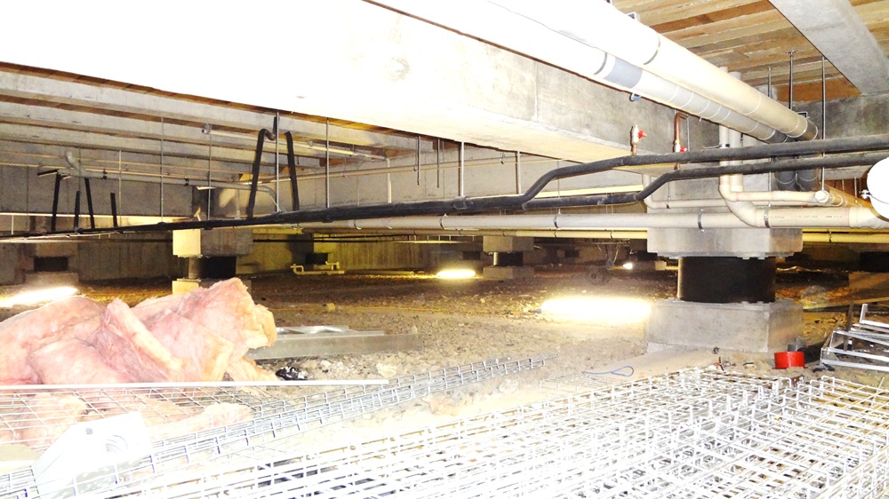 A picture containing indoorDescription automatically generated